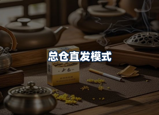 专业团队办公环境